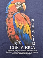 ​Costa Rica T Shirt Mens XXL 2XL Navy Blue Parrot Pura Vida Blue Green Souvenir