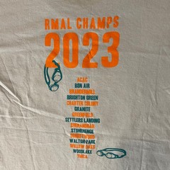 Gildan T-Shirt Mens L Richmond VA Metro Aquatic League Championship 2023 Blue