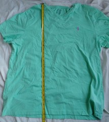 POLO RALPH LAUREN Men’s Green T-Shirt M Purple Pony Crew Neck Cotton Classic