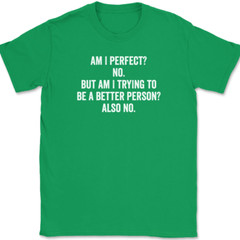 Am I Perfect No T-Shirt Tee Funny Sarcastic Humor Novelty Gift