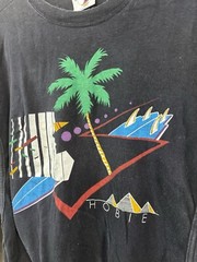 Vintage Signed Eddy Y Hobie Two Tone Surfer Abstract Size Large California Art