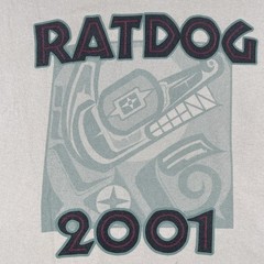 Vintage Rat Dog Music 2001 Band Shirt Live Front & Back Print Large Y2K Brown