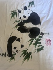 Vintage Golden Wheel Panda Graphic Tee Adult Size 42 Nature 70s 80s China