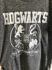Harry Potter Men’s Gray Hogwarts Graphic Print Crew Neck T-Shirt Short Sleeve L