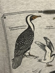 VTG Cape Cod Nature Shore Birds Shirt Men XL Gray Short Sleeve Bird Watchers