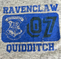 HARRY POTTER ~ RAVENCLAW ~ QUIDDITCH HOGWARTS 07 GRAY T-SHIRT ~ SIZE XL