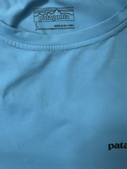 Patagonia Men’s L Long-Sleeved Capilene Cool Daily Shirt 0062