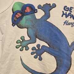 Vintage HAWAII GECKO HANG LOOSE SOFT FADED TANK TOP 90s Size M Anvil Tag
