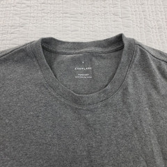 Everlane T-Shirt Men’s M Gray Grey Organic Cotton NWOT Sustainable Heavyweight