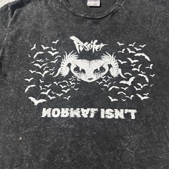 Puscifer T Shirt Mens Medium Short Sleeve Graphic Print Normal Isn’t Bats Tee