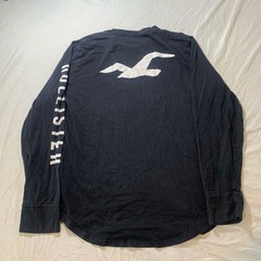 Hollister Long Sleeve Graphic Tee with Sleeve Logo, Navy Blue, Size Large