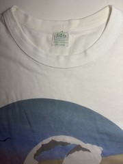 Vintage Beach Sea Shells Graphic Single Stitch T Shirt Sz L Cairns Australia