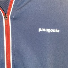 Patagonia Shirt Mens Large 1/4 Zip Pullover Outdoor Base Layer Cycling Logos