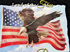 “LAND OF THE FREE, HOME OF THE BRAVE” ~(100% COTTON T-SHIRT / L)~ *UNISEX / NEW*