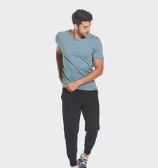 NWT Pair of Thieves Mens T Shirt Large 2pk Classic Athleisure Minimalist Tagless