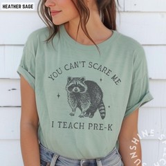 You Cant Scare Me I Teach Pre K Shirt Funny Raccoon Teacher Back To School Tee