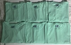 (6 Pieces) Size XL,Comfort Color T Shirt Heavyweight Ring Spun Mint Green.