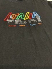 Vintage Italy Tourist T Shirt Sz XL Souvenir Rome Pisa Embroidered 90s