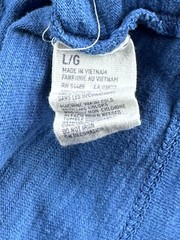 American Eagle Outfitters Mens Shirt Size Large Blue Tee Graphic Eagle Print