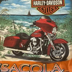 2018 Harley Davidson Wasilla Pensacola Florida Graphic Print XL T-Shirt FreeShip