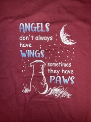 Angels Don’t Always Have Wings Short Sleeve T-Shirt Men’s Extra-Large