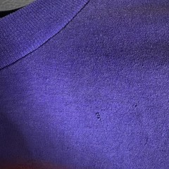 Rare Vintage 1993 Jurassic Park Promo Purple T-Rex T-Shirt Youth XL As Pictured