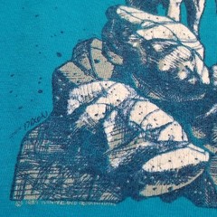 Vtg Yosemite Bighorn Sheep T Shirt Single Stitch Tee Large 42-44 Turquoise USA
