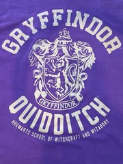 Harry Potter Gryffindor Quidditch Purple Graphic Print T-Shirt Men’s L