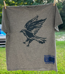 HARRY POTTER ~ RAVENCLAW ~ QUIDDITCH HOGWARTS 07 GRAY T-SHIRT ~ SIZE XL
