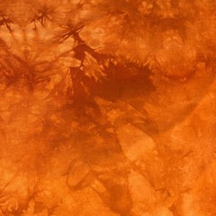 The Mountain Shirt Graphic T Mens Tiger Orange Tie Dye XL Cotton Y2K Big Cat