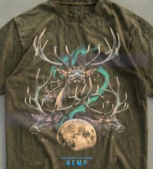 Moose Wildlife Northern Lights Aurora Comfort Tee