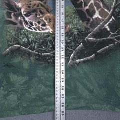 Vintage The Mountain Giraffe Shirt Size XL Green Tie Dye Anthony Casey 1999 USA