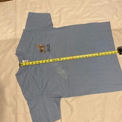 Outdoor World Sturbridge Resort Massachusetts Deer Buck Baby Blue Tshirt – L