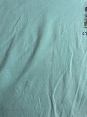 Crown & Ivy Mint Green Mens L Dog Golden Retriever Cotton Coastal Nature T-Shirt