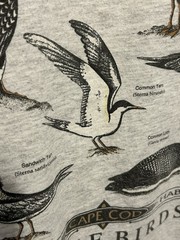 VTG Cape Cod Nature Shore Birds Shirt Men XL Gray Short Sleeve Bird Watchers