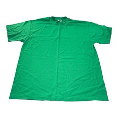 Hanes Heavyweight 50/50 Blank Green T Shirt Adult Large Single Stitch Cotton Tee