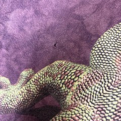 The Mountain Gecko Lizard Graphic Tie Dye T-Shirt Men’s 2XL Purple USA