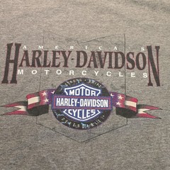 Vtg Harley Davidson T-Shirt Sz XL Gray CADIZ SPAIN HD 2-sided SS 2001 Holoubek