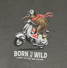 Global Culture Born to be Wild Kiwi Riding Moped Tshirt Size M New Zealand