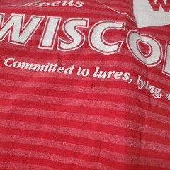 Vintage Wisconsin Shirt Mens 2XL Red Striped 90s Fishing School Hopeus Catchsome