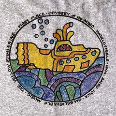 Vintage Hanes Heavyweight 50/50 Men’s M Gray T Shirt Made In USA Ames Iowa 1994