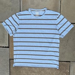 Light Blue Heather Varied Stripe Pima Cotton T-shirt