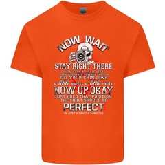Photography Now Wait Photographer Funny Mens Light Cotton T-Shirt