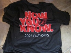 Indiana Fever 2025 WNBA Playoffs T-Shirt