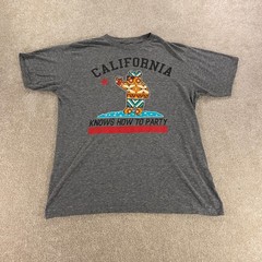 Riot Society Graphic T-Shirt Mens Large Gray California Party Bear