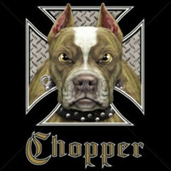Adult DryBlend® T-Shirt – ( CHOPPER – BIKER / CHOPPER / PIT BULL)