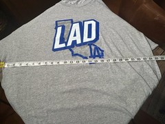 LA Dodgers LAD Tshirt Men’s Size 3XL Gray Crew Neck MLB Los Angeles California