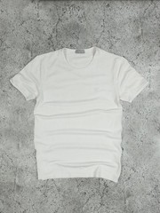 Dior Bee Logo T-Shirt Men’s Size IT48/S (Slim Fit) Made In Italy