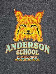 Anderson School McMenamins Hotel Bothell, WA Bobcat Gray Graphic T-Shirt Size XL