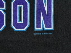 VTG 1998 Tampa Bay Devil Rays Inaugural Season T Shirt Men’s Size L Lee Sport